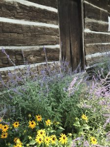 log cabin, summer flowers