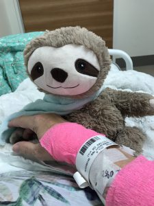 companion sloth, cancer patient